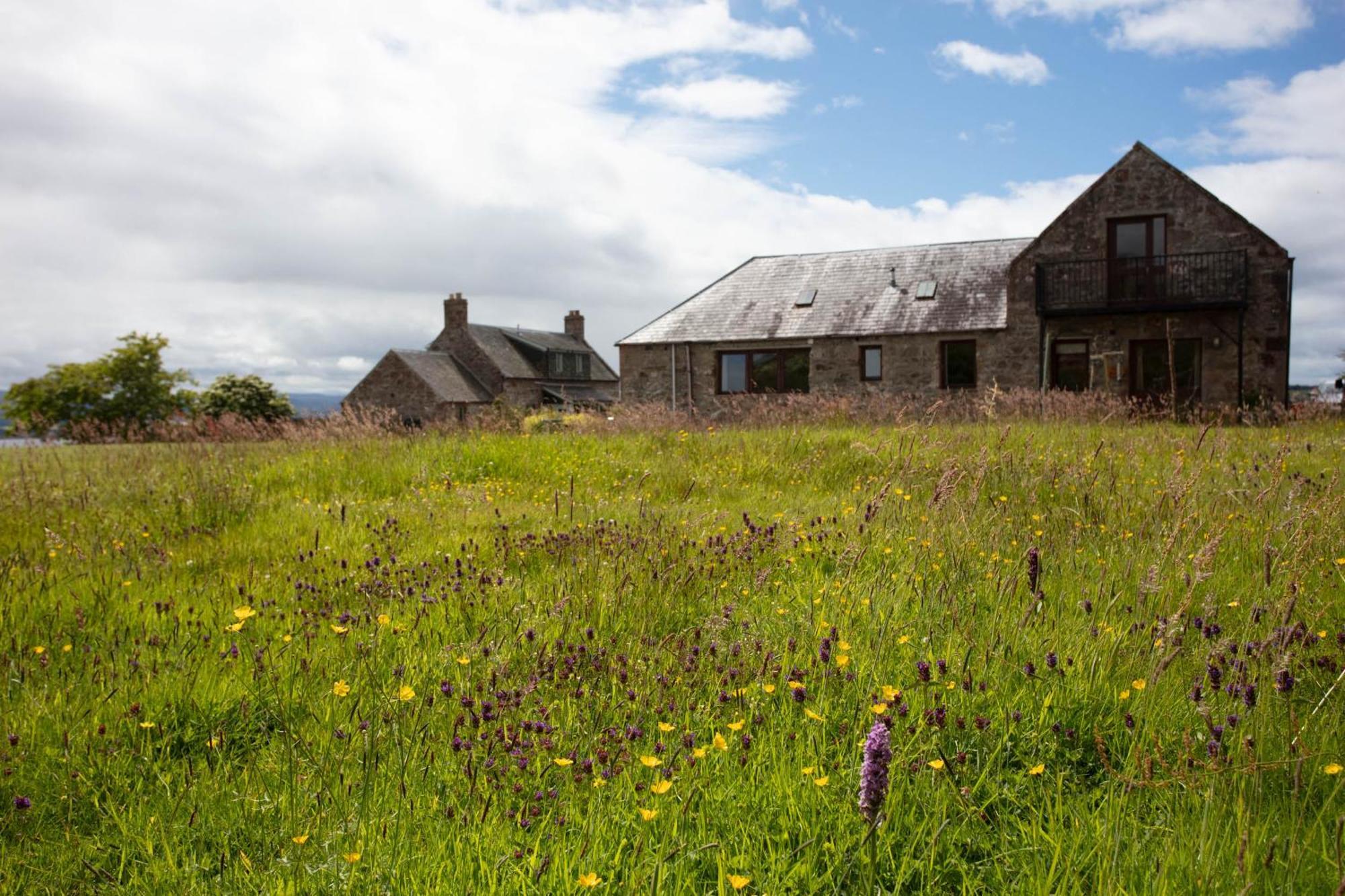 Ferienwohnung Dolphin View Hillockhead Rosemarkie Exterior foto
