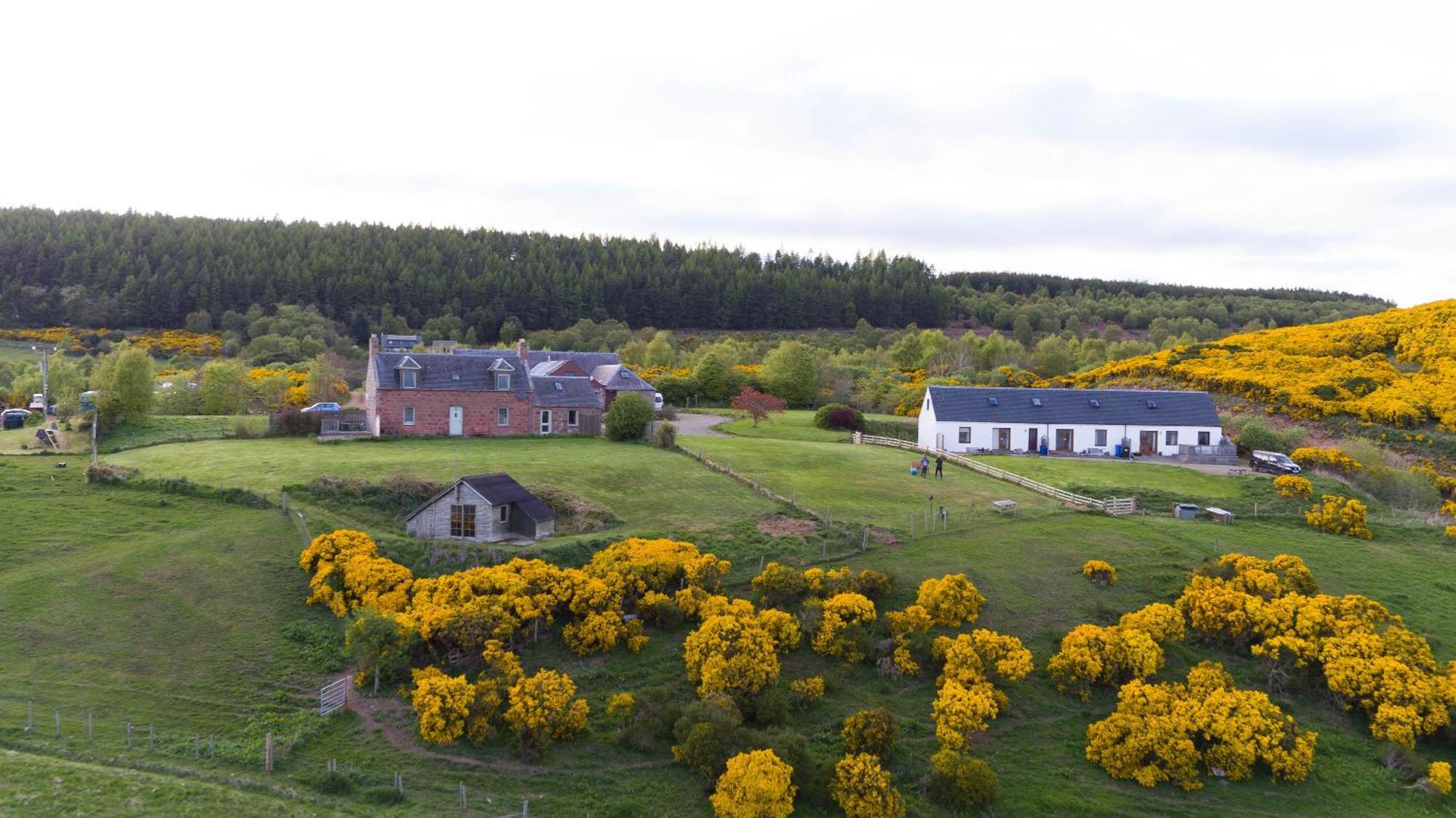 Ferienwohnung Dolphin View Hillockhead Rosemarkie Exterior foto